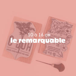 Le remarquable
